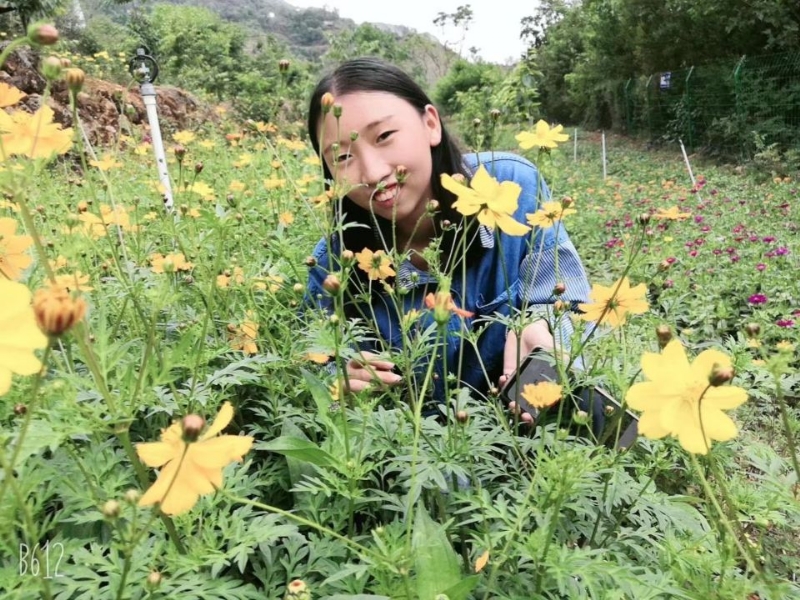 哈哈的第一张照片--昭通父母相亲团
